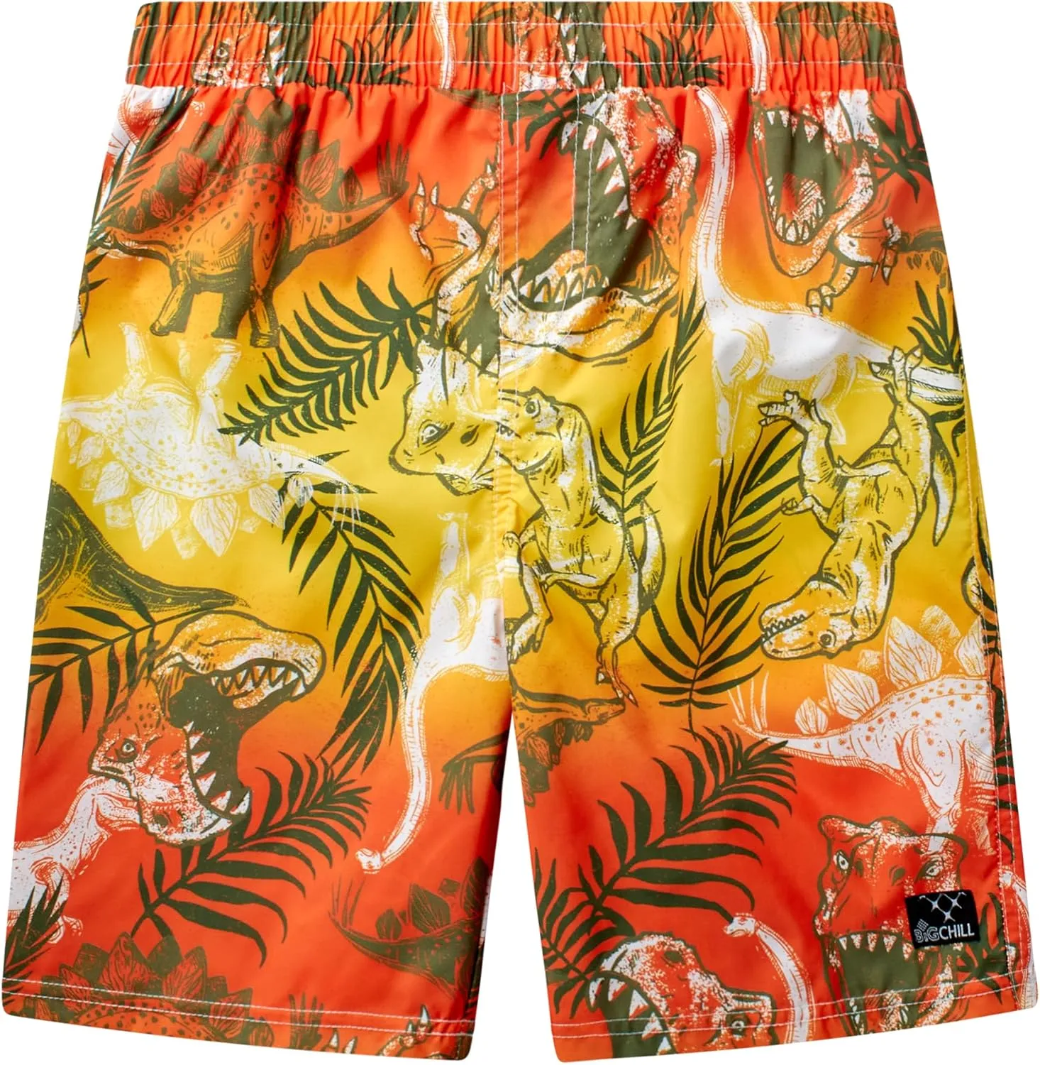Big Chill Boys Rash Guard Set - 2 Piece UPF 50  Quick Dry Short Sleeve Swim Shirt and Swim Trunks for Boys (Sizes: 4-14)