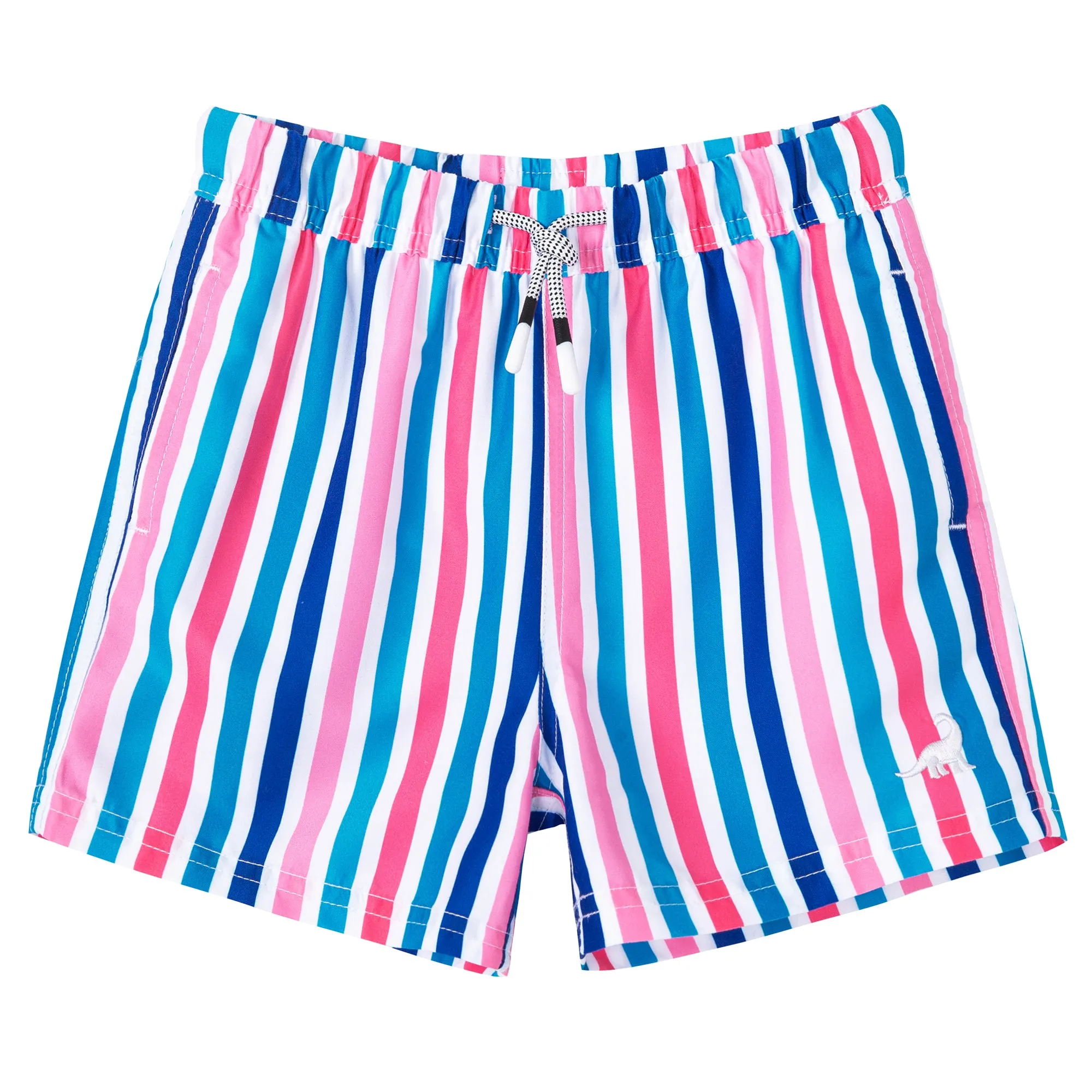Boy's Colorful stripe Print Quick Dry Swim Trunks