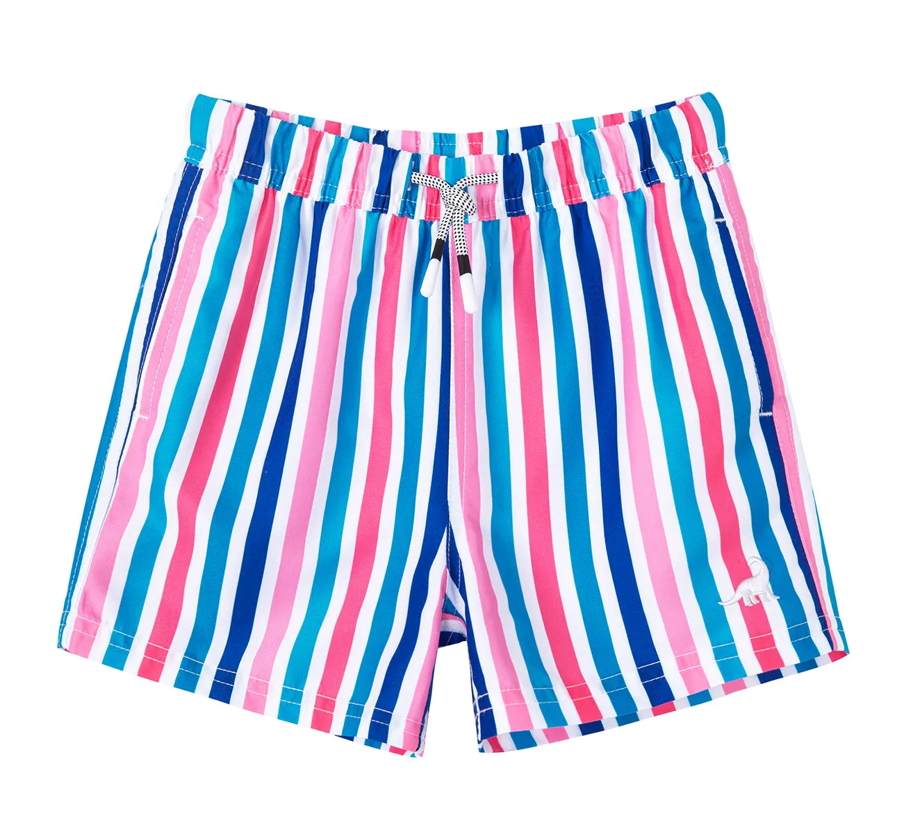 Boy's Colorful stripe Print Quick Dry Swim Trunks