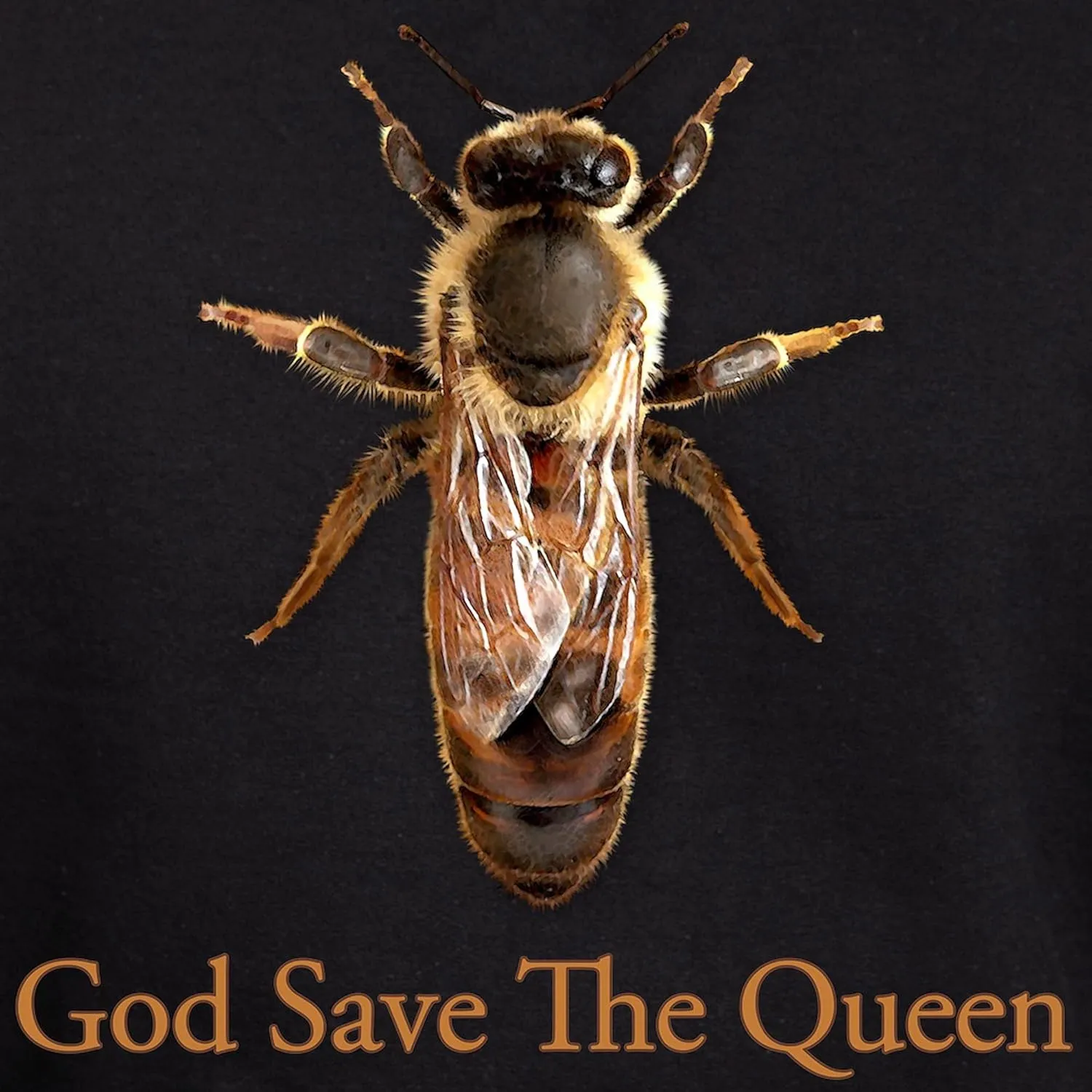 CafePress God Save The Queen (Bee) Hoodie (Dark) Men's Dark Rgular Fit Hoodie