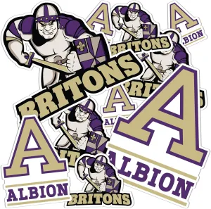 Desert Cactus Albion College Sticker Britons Vinyl Decals Laptop Water Bottle Car Scrapbook 13.5x11 Sheet T1 (Type 1-1)