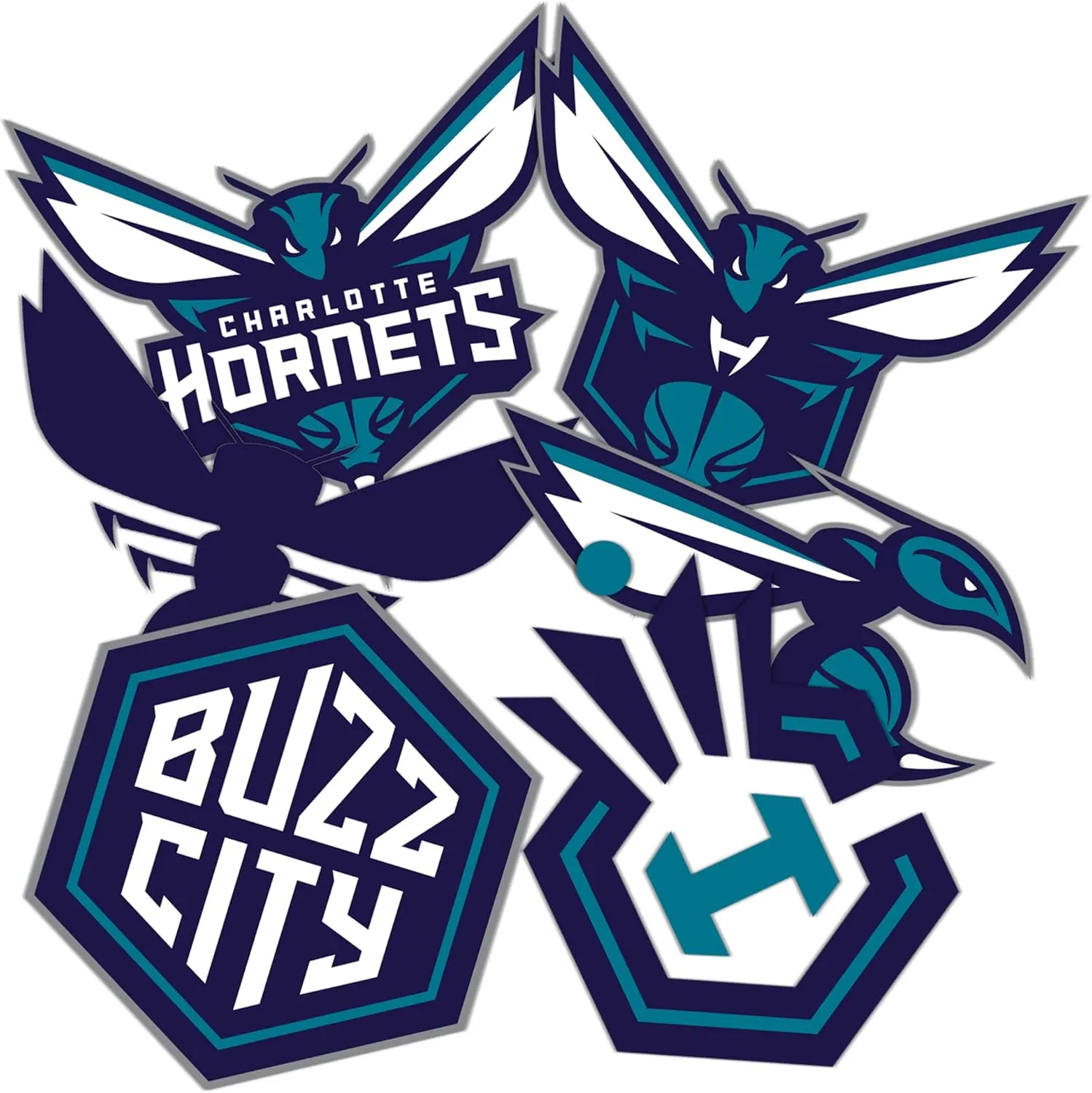 Desert Cactus Charlotte Hornets Sticker NBA Officially Licensed Vinyl Decal Laptop Water Bottle Car Scrapbook (Type 2)