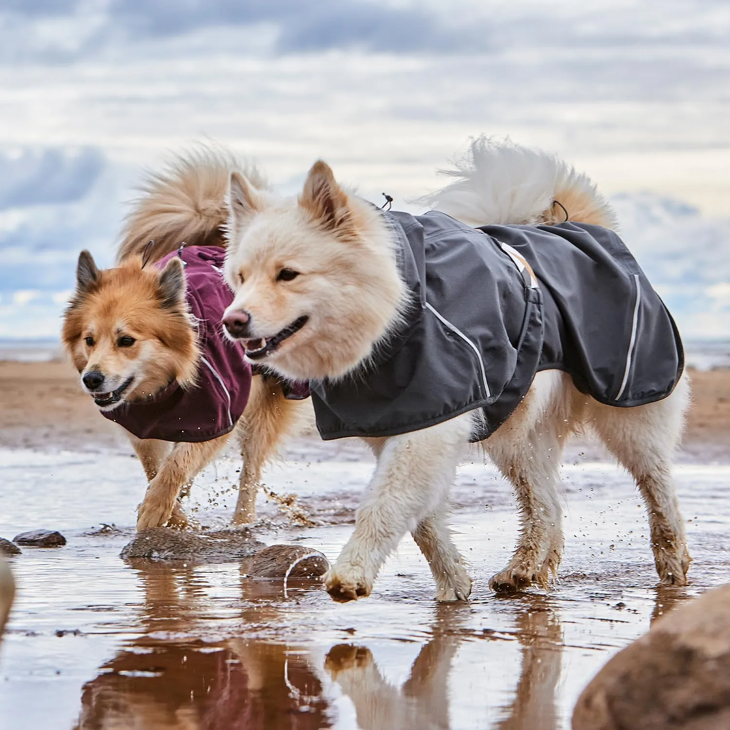 Hurtta Mudventure ECO Dog Coat, BlackBerry, 16 in