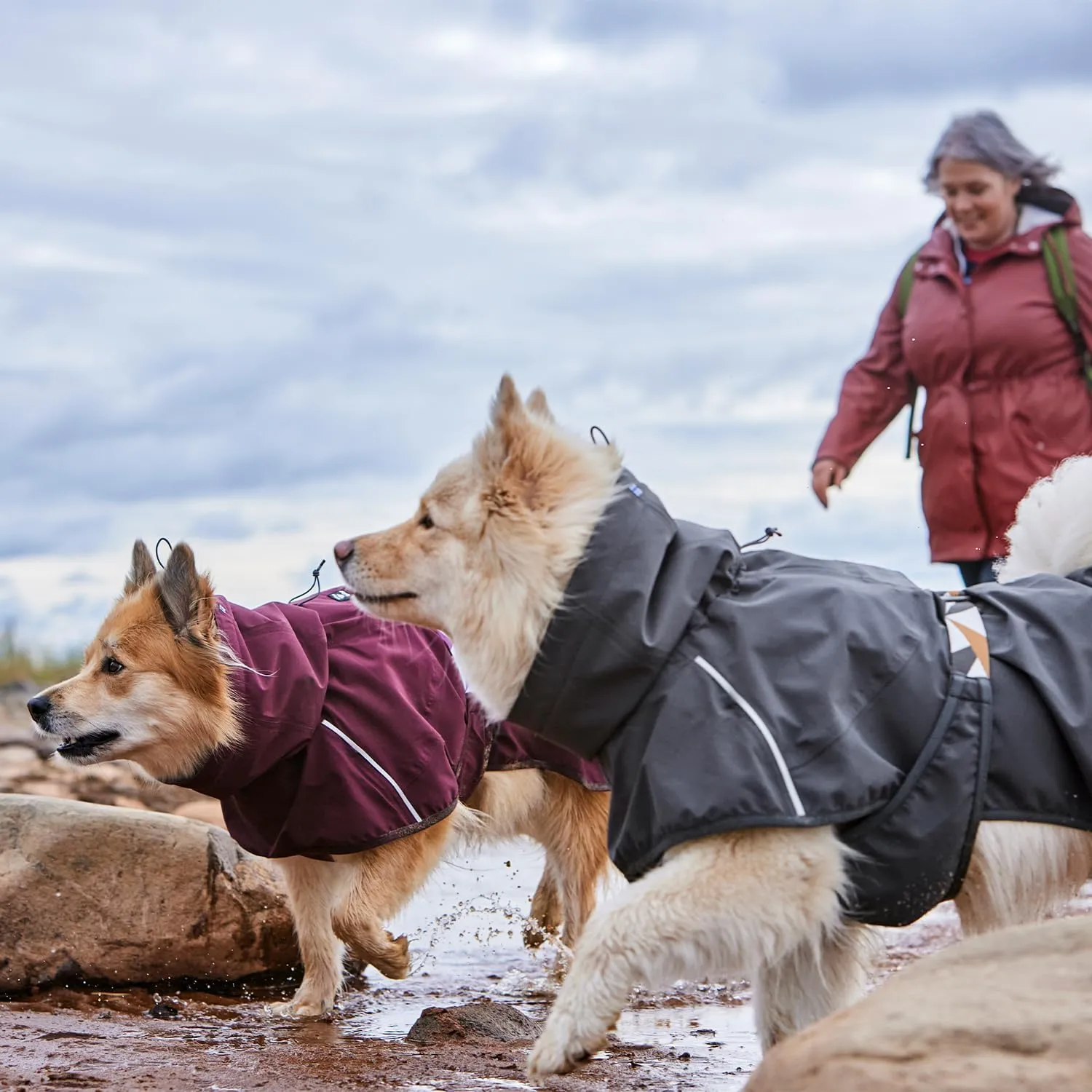 Hurtta Mudventure ECO Dog Coat, BlackBerry, 16 in