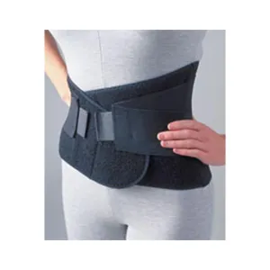 Industrial Lumbar Support