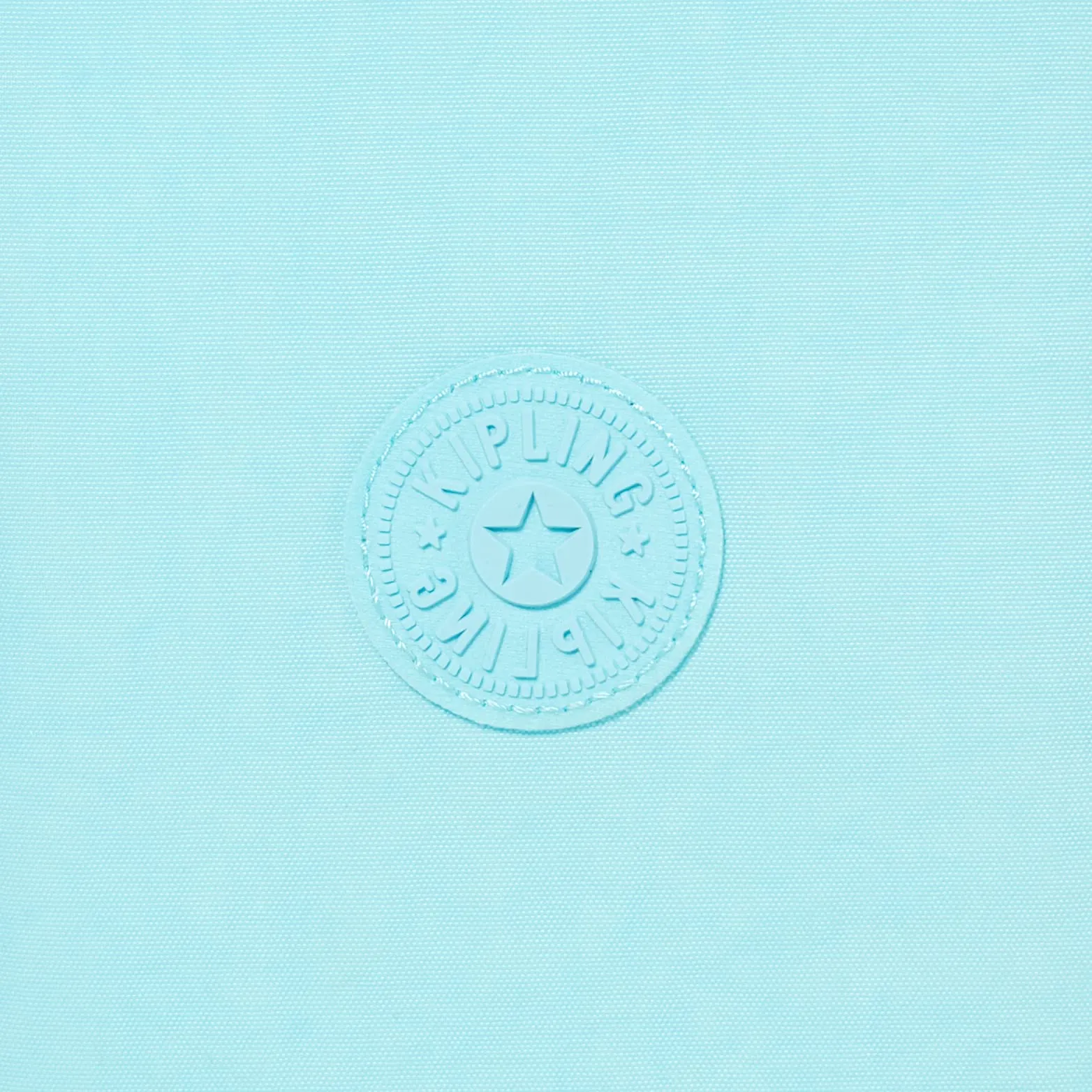 Kipling 100 Pens Case