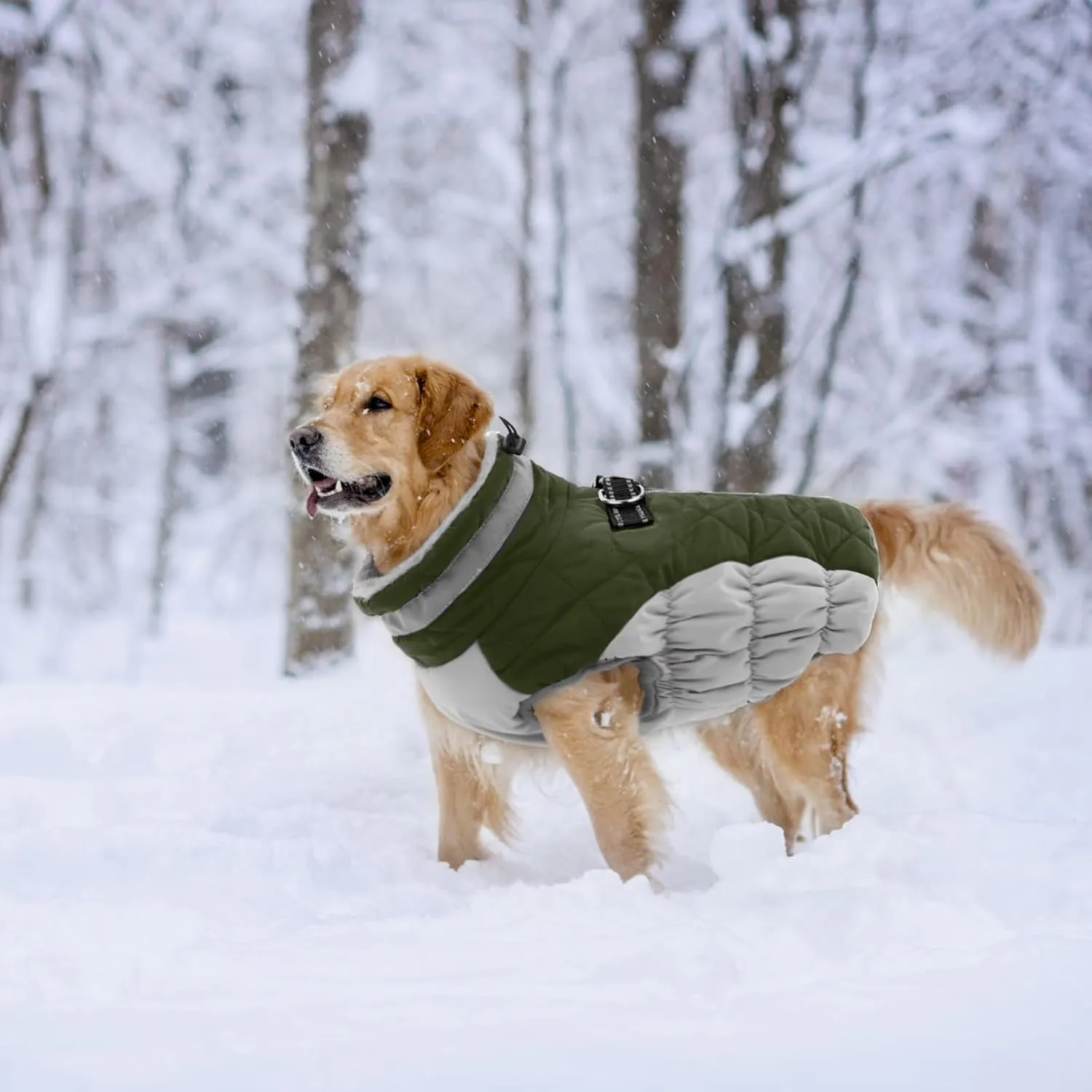 Lelepet Dog Coat with Harness Waterproof Dog Jacket, Reflective & Adjustable Turtleneck Neckline, Warm Fleece Vest for Winter, Coats for Medium Dogs, Army Green, M, Boston Terrier