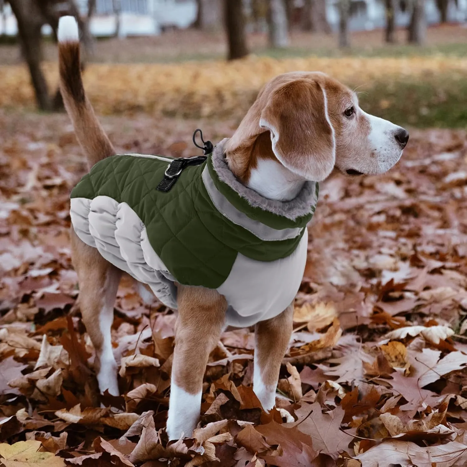Lelepet Dog Coat with Harness Waterproof Dog Jacket, Reflective & Adjustable Turtleneck Neckline, Warm Fleece Vest for Winter, Coats for Medium Dogs, Army Green, M, Boston Terrier
