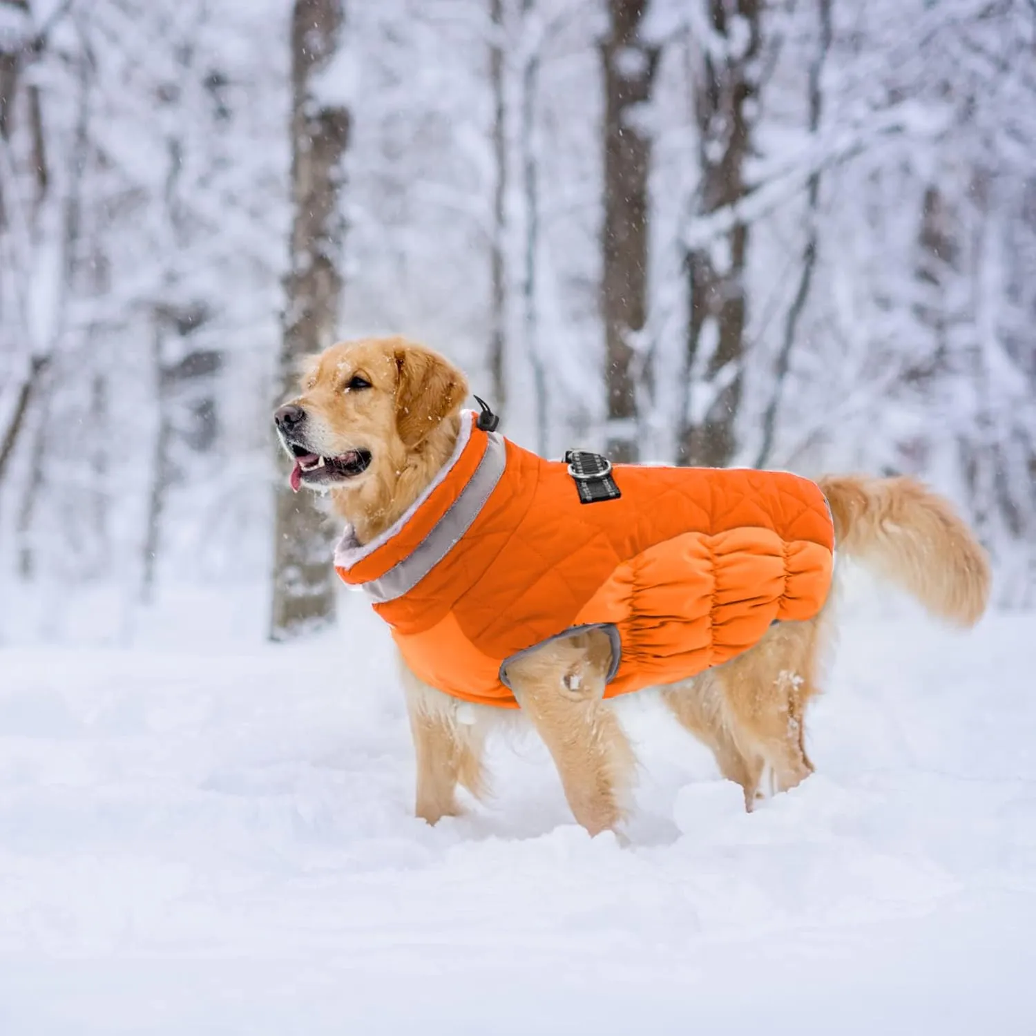 Lelepet Dog Jacket with Harness Built in, Waterproof, Windproof, Reflective Fleece Vest with Turtleneck & Zipper - Coats for Small Dogs in Cold Weather, Blaze Orange, S
