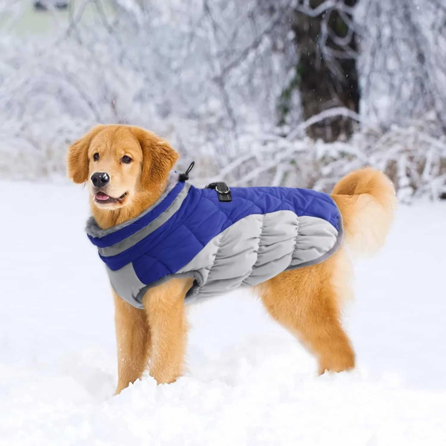 Lelepet Warm Dog Winter Coat Waterproof Dog Jacket with Harness Built in, Reflective Fleece Vest, Adjustable Neckline, Zippered Coats for Small, Medium, Large Dogs, Blue, XS
