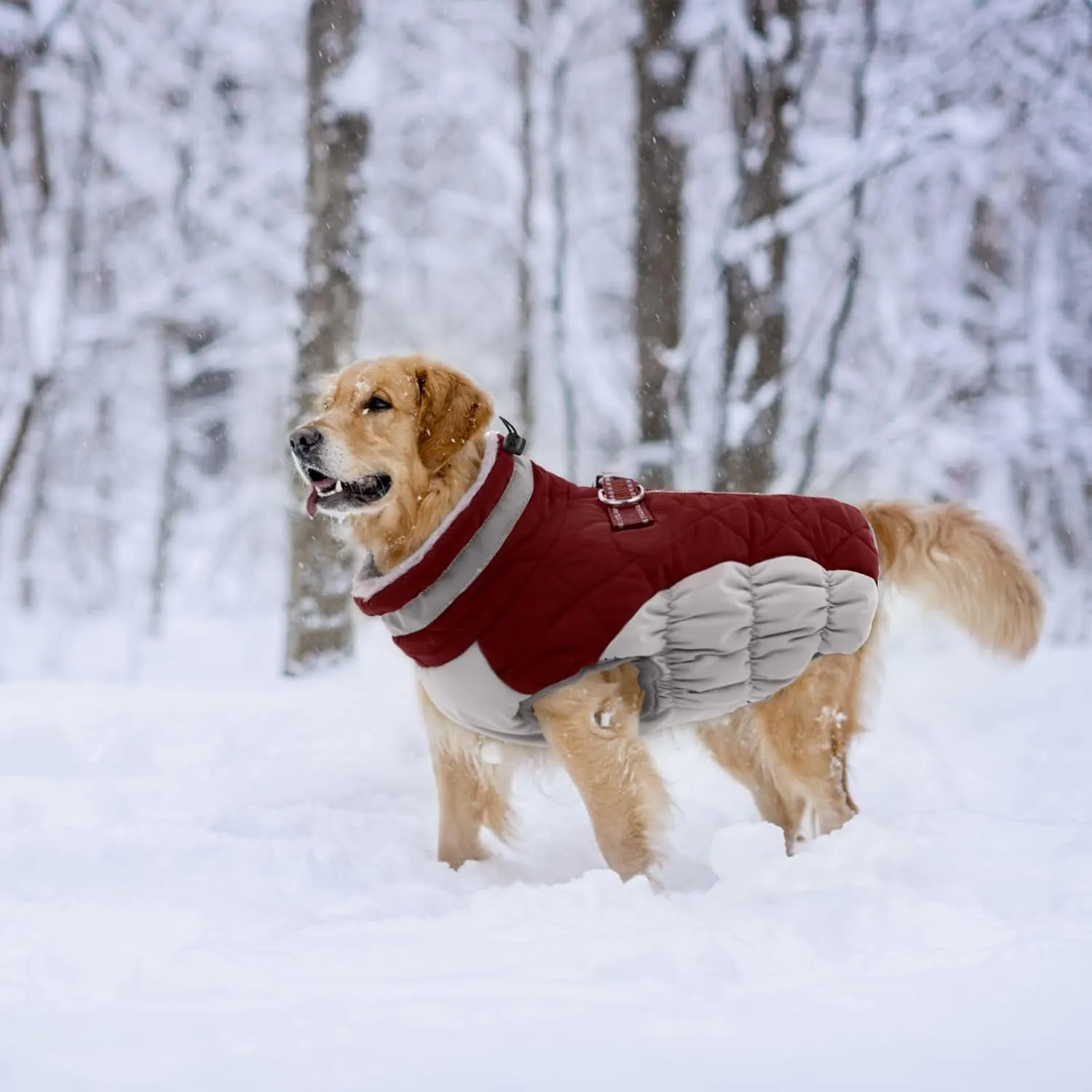 Lelepet Warm Winter Dog Coat - S, Waterproof, Padded, Windproof, Reflective, Fleece Jacket with Harness for Small Dogs, Wine Red