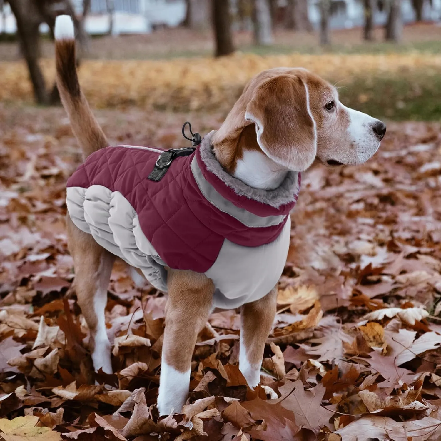 Lelepet Warm Winter Dog Coat - S, Waterproof, Padded, Windproof, Reflective, Fleece Jacket with Harness for Small Dogs, Wine Red