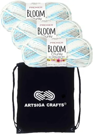 Premier Yarns Bloom Chunky Bluebell 1114-07 (3-Pack) Same Dyelot Chunky Bulky #5 Soft Knitting Yarn 100% Acrylic with Project Bag