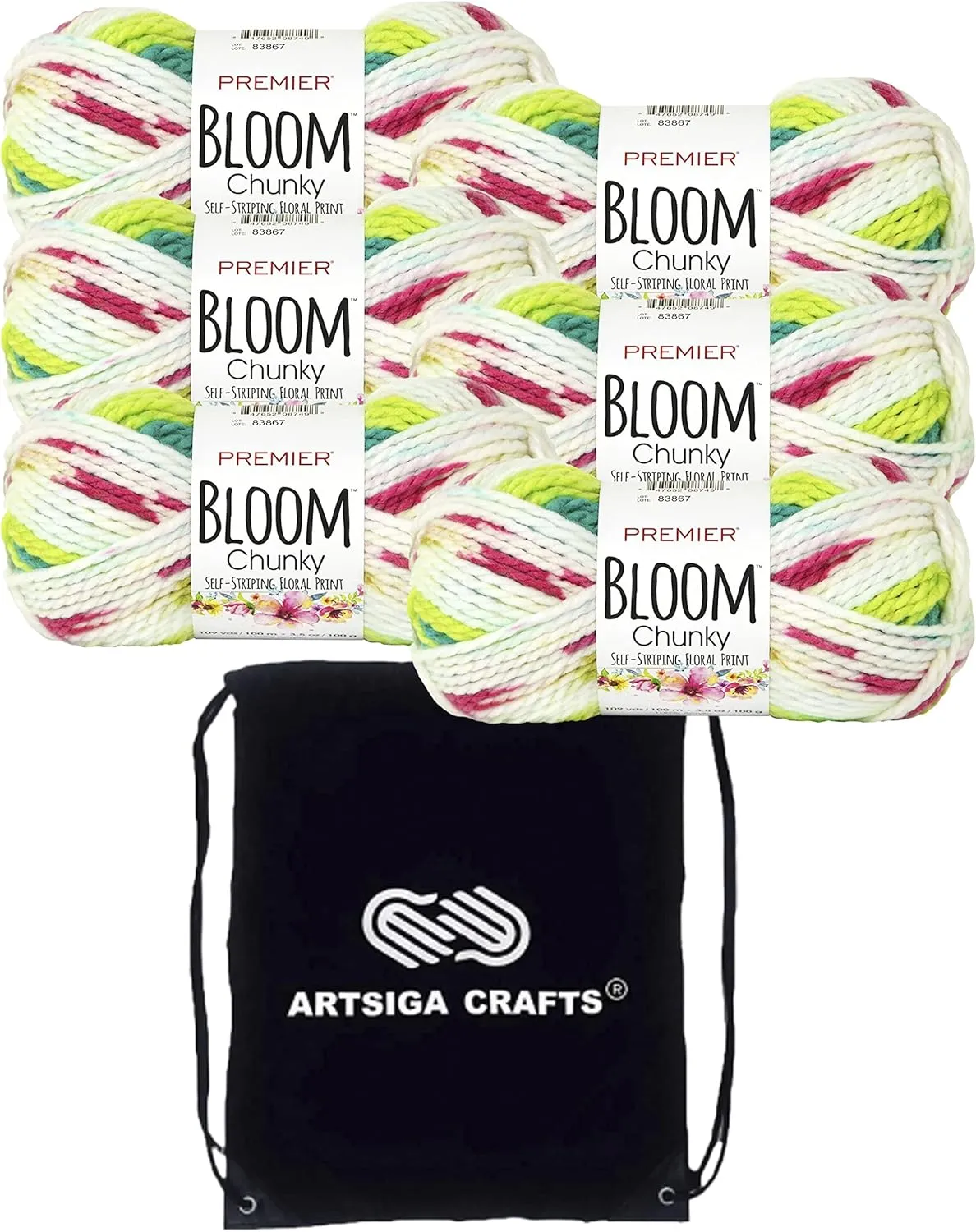 Premier Yarns Bloom Chunky Cactus Bloom 1114-09 (6-Skeins - Same Dye Lot) Chunky Bulky #5 Acrylic Yarn for Crocheting and Knitting with Project Bag