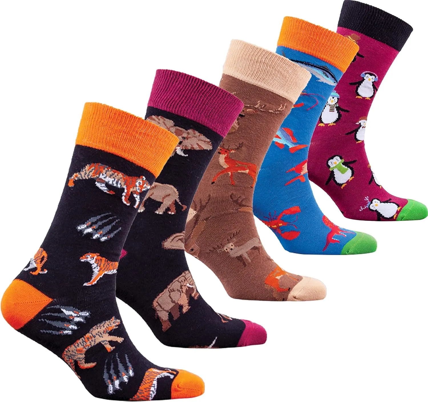 socks n socks-Mens 5pair Luxury Colorful Cotton Fun Novelty Dress Socks Gift Box