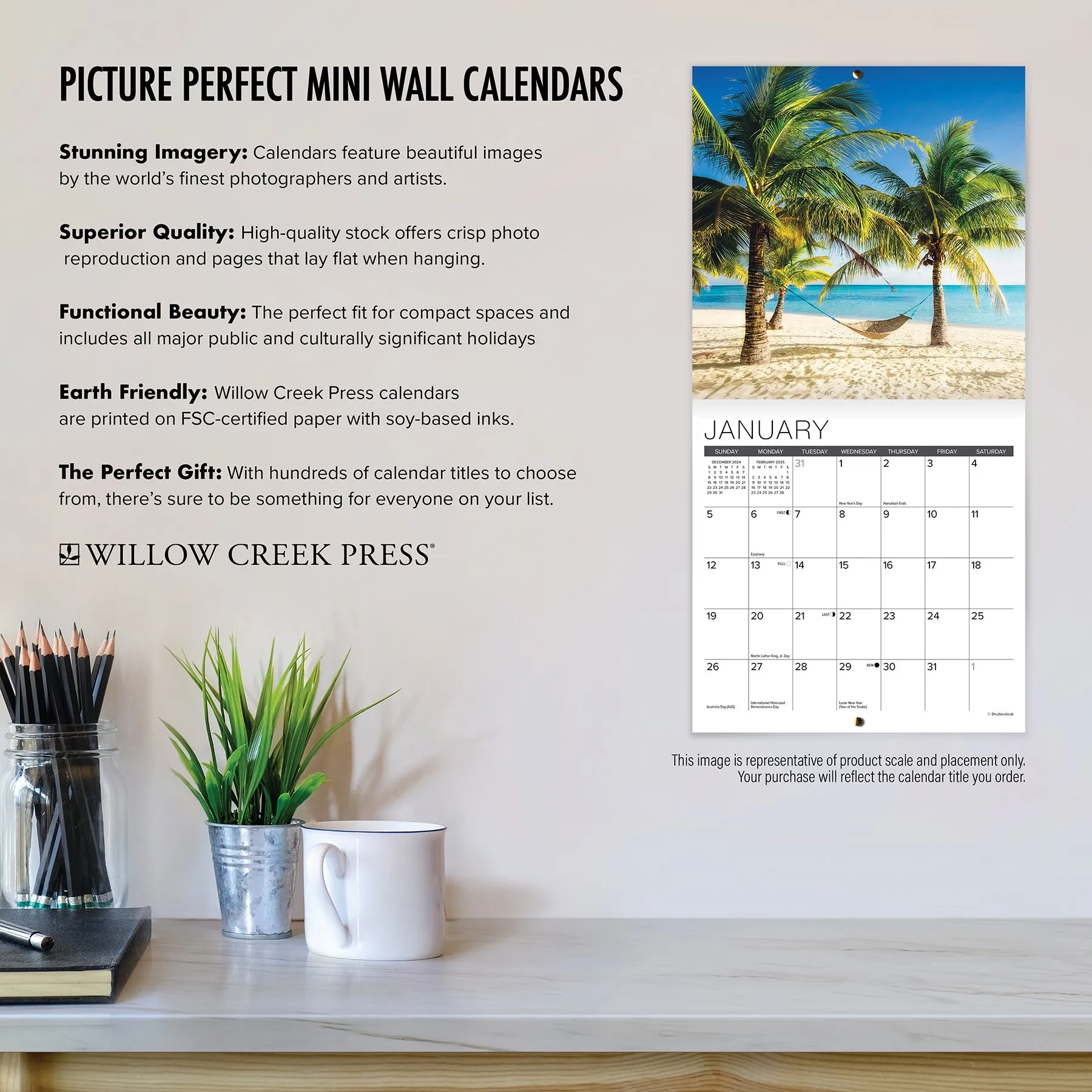 What Cats Teach Us 2025 Mini Wall Calendar